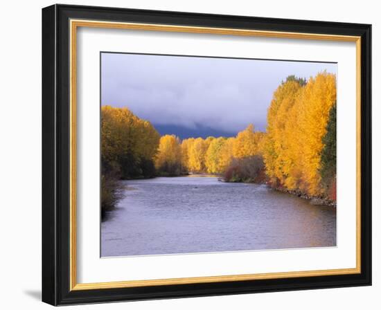 Yakima River and Trees in Autumn, Near Cle Elum, Kittitas County, Washington, USA-Jamie & Judy Wild-Framed Photographic Print