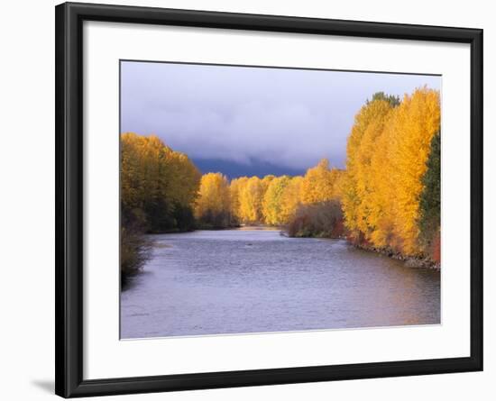 Yakima River and Trees in Autumn, Near Cle Elum, Kittitas County, Washington, USA-Jamie & Judy Wild-Framed Photographic Print