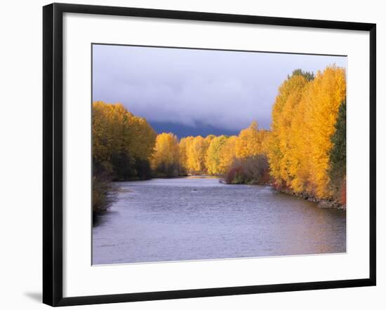 Yakima River and Trees in Autumn, Near Cle Elum, Kittitas County, Washington, USA-Jamie & Judy Wild-Framed Photographic Print