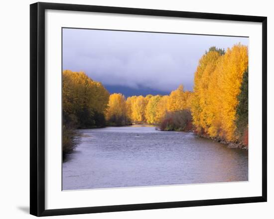 Yakima River and Trees in Autumn, Near Cle Elum, Kittitas County, Washington, USA-Jamie & Judy Wild-Framed Photographic Print