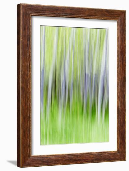 Yakima River Trail I-Kathy Mahan-Framed Photographic Print