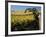 Yakima Valley Vineyards, Washington, USA-Jamie & Judy Wild-Framed Photographic Print