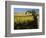 Yakima Valley Vineyards, Washington, USA-Jamie & Judy Wild-Framed Photographic Print