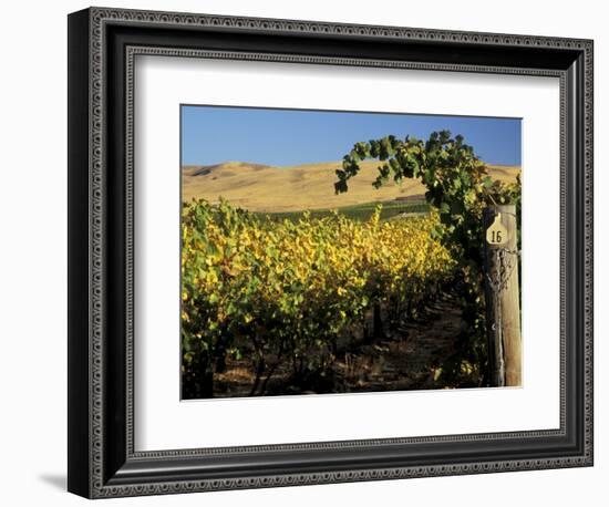 Yakima Valley Vineyards, Washington, USA-Jamie & Judy Wild-Framed Photographic Print