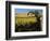 Yakima Valley Vineyards, Washington, USA-Jamie & Judy Wild-Framed Photographic Print