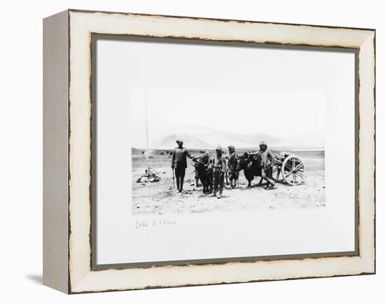 Yaks and Ekkas, 1903-04-John Claude White-Framed Premier Image Canvas