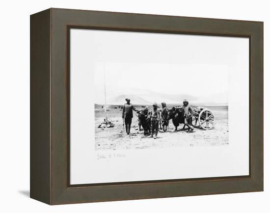 Yaks and Ekkas, 1903-04-John Claude White-Framed Premier Image Canvas