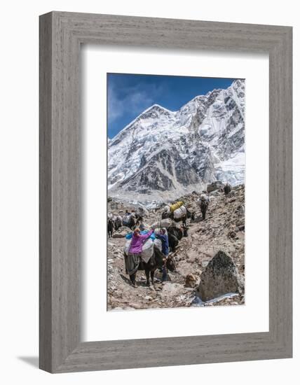 Yaks and herders on a trail to Everest Base Camp.-Lee Klopfer-Framed Photographic Print