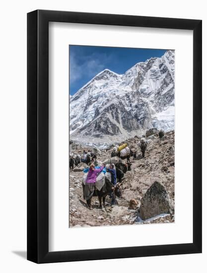 Yaks and herders on a trail to Everest Base Camp.-Lee Klopfer-Framed Photographic Print