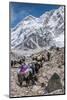 Yaks and herders on a trail to Everest Base Camp.-Lee Klopfer-Mounted Photographic Print