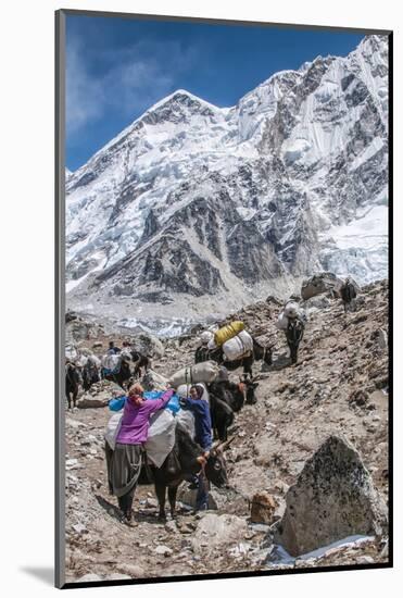 Yaks and herders on a trail to Everest Base Camp.-Lee Klopfer-Mounted Photographic Print