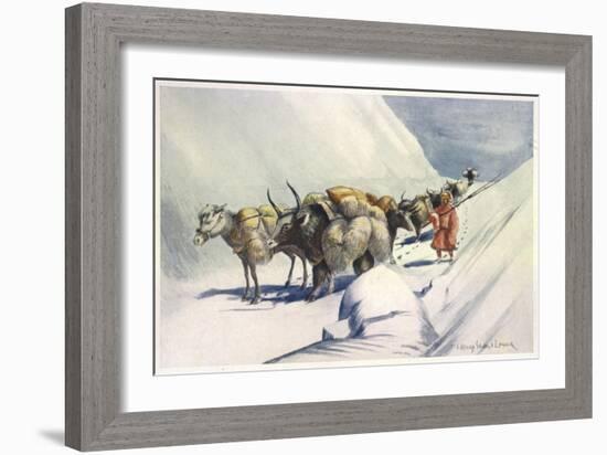 Yaks and Ponies Carrying Wool from Tibet into India-Henry Savage Landor-Framed Art Print