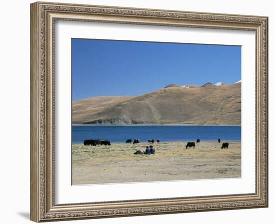 Yaks Graze by Yamdrok Lake Beside Old Lhasa-Shigatse Road, Tibet, China-Tony Waltham-Framed Photographic Print