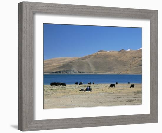 Yaks Graze by Yamdrok Lake Beside Old Lhasa-Shigatse Road, Tibet, China-Tony Waltham-Framed Photographic Print