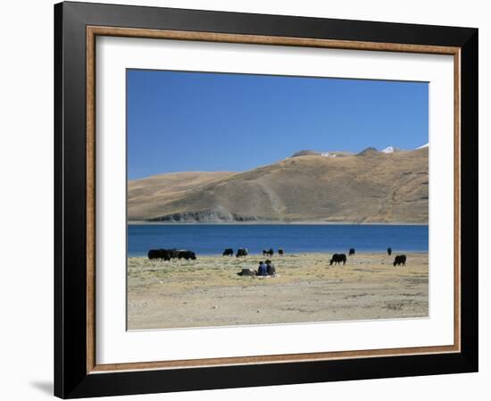 Yaks Graze by Yamdrok Lake Beside Old Lhasa-Shigatse Road, Tibet, China-Tony Waltham-Framed Photographic Print