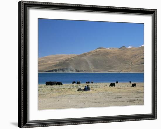 Yaks Graze by Yamdrok Lake Beside Old Lhasa-Shigatse Road, Tibet, China-Tony Waltham-Framed Photographic Print