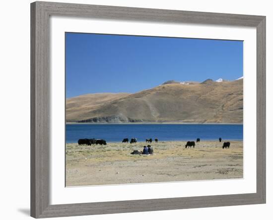 Yaks Graze by Yamdrok Lake Beside Old Lhasa-Shigatse Road, Tibet, China-Tony Waltham-Framed Photographic Print