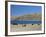 Yaks Graze by Yamdrok Lake Beside Old Lhasa-Shigatse Road, Tibet, China-Tony Waltham-Framed Photographic Print