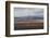 Yaks Grazing on the Vast Open Rangelands on the Edge of the Tibetan Plateau in Sichuan Province-Alex Treadway-Framed Photographic Print