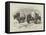 Yaks in Thibet, Travels of Prince Henry of Orleans-null-Framed Premier Image Canvas