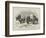 Yaks in Thibet, Travels of Prince Henry of Orleans-null-Framed Giclee Print