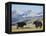 Yaks Near Nyalam, Tibet, China, Asia-Jane Sweeney-Framed Premier Image Canvas