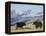 Yaks Near Nyalam, Tibet, China, Asia-Jane Sweeney-Framed Premier Image Canvas