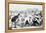 Yale And Princeton Football Match-Bettmann-Framed Premier Image Canvas