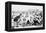 Yale And Princeton Football Match-Bettmann-Framed Premier Image Canvas