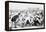 Yale And Princeton Football Match-Bettmann-Framed Premier Image Canvas