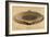 Yale Bowl-null-Framed Premium Giclee Print