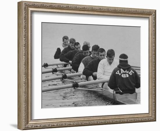 Yale Crew Rowing During Training-null-Framed Photographic Print