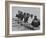 Yale Crew Rowing During Training-null-Framed Photographic Print