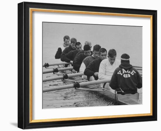 Yale Crew Rowing During Training-null-Framed Photographic Print