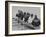 Yale Crew Rowing During Training-null-Framed Photographic Print