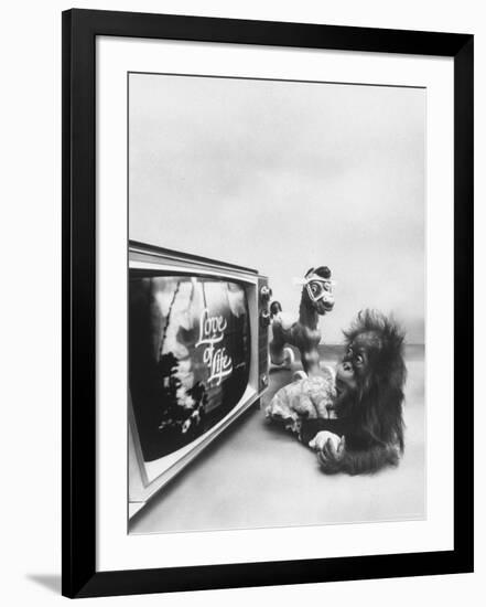 Photographic Print, , large