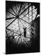 Premium Photographic Print