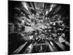 Premium Photographic Print