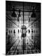 Premium Photographic Print