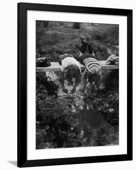 Photographic Print, , large