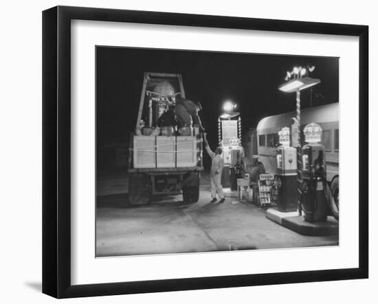Photographic Print, , large