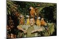 Photographic Print