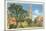 Yale University, New Haven, Connecticut-null-Mounted Art Print