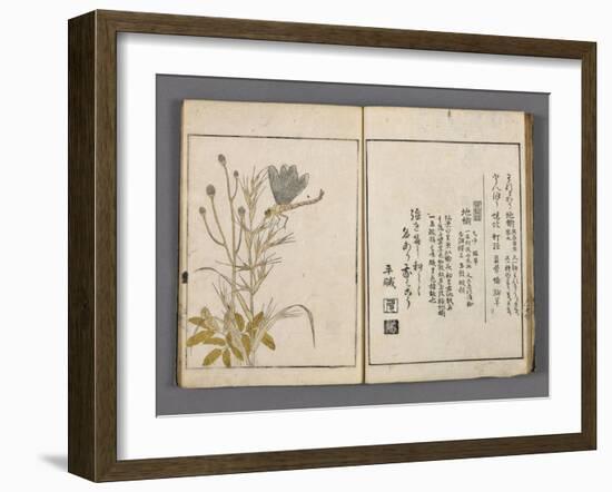 Yama no seki-null-Framed Giclee Print