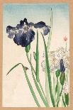 Japanese Irises-Yamagishi-Giclee Print
