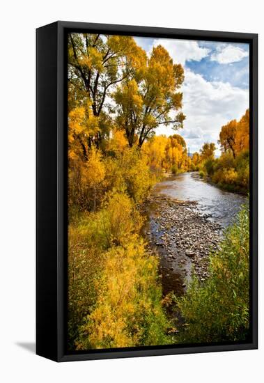 Yampa River in autumn.-Larry Ditto-Framed Premier Image Canvas