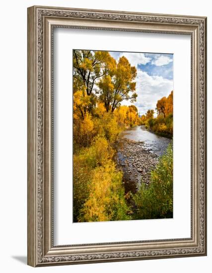 Yampa River in autumn.-Larry Ditto-Framed Photographic Print