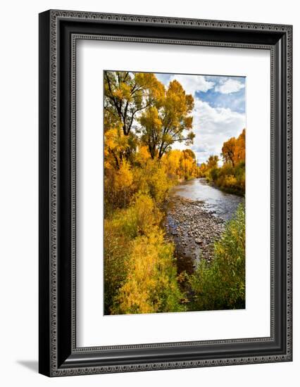 Yampa River in autumn.-Larry Ditto-Framed Photographic Print