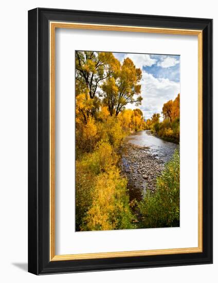 Yampa River in autumn.-Larry Ditto-Framed Photographic Print