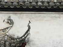 Birds on tiled roof in Xidi, China-Yang Liu-Framed Photographic Print